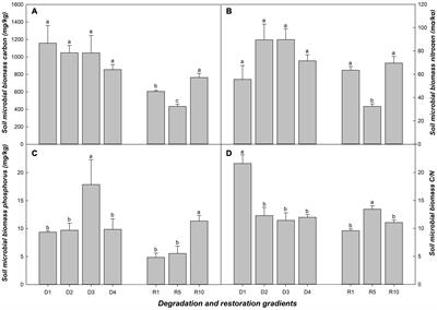 Responses of Soil Microbial Metabolic Activity and Community Structure to Different Degraded and Restored Grassland Gradients of the Tibetan Plateau